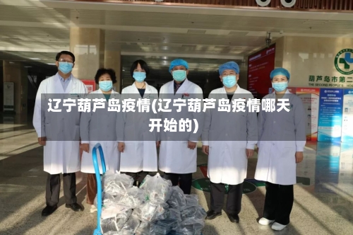 辽宁葫芦岛疫情(辽宁葫芦岛疫情哪天开始的)