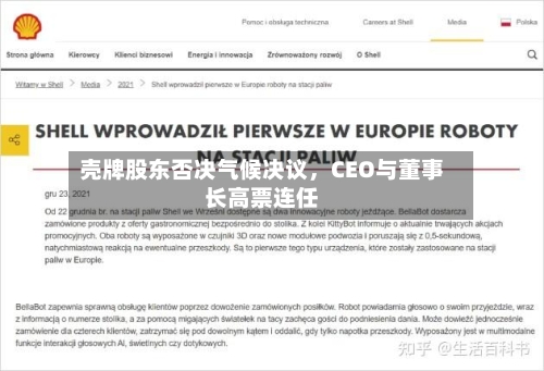 壳牌股东否决气候决议，CEO与董事长高票连任-第2张图片