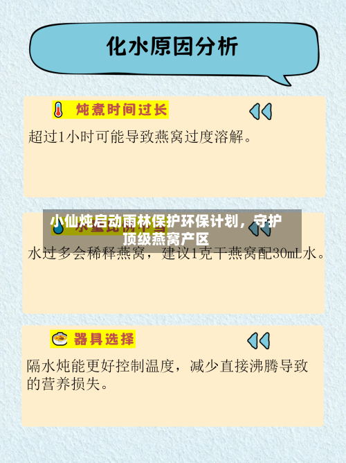 小仙炖启动雨林保护环保计划，守护顶级燕窝产区-第3张图片