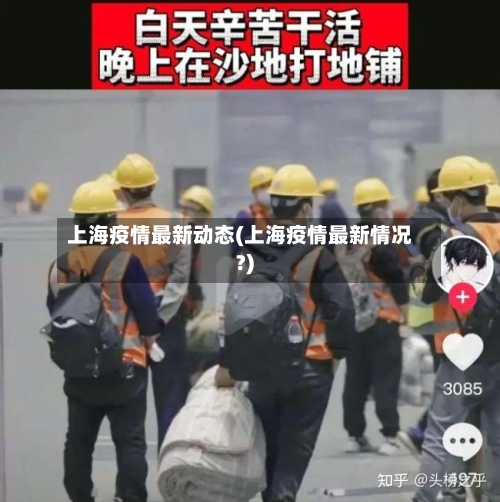 上海疫情最新动态(上海疫情最新情况?)-第3张图片