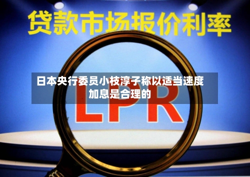 日本央行委员小枝淳子称以适当速度加息是合理的-第3张图片