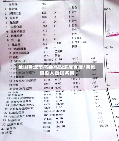 全国各城市感染高峰进度百度/各地感染人数排名榜-第2张图片