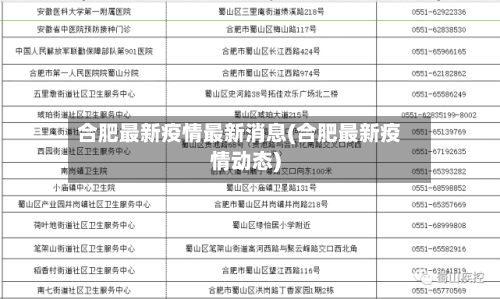 合肥最新疫情最新消息(合肥最新疫情动态)