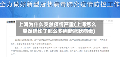上海为什么突然疫情严重(上海怎么突然确诊了那么多例新冠状病毒)-第3张图片