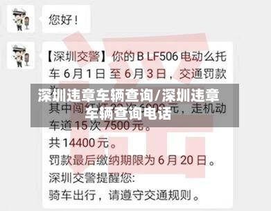 深圳违章车辆查询/深圳违章车辆查询电话-第2张图片