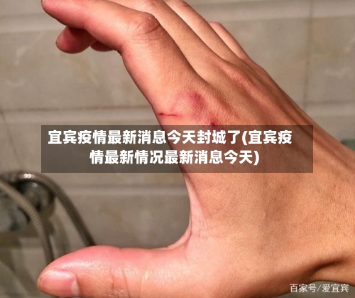 宜宾疫情最新消息今天封城了(宜宾疫情最新情况最新消息今天)-第2张图片