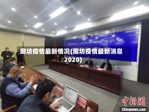 廊坊疫情最新情况(廊坊疫情最新消息2020)-第2张图片