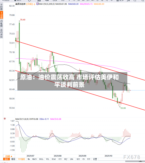 原油：油价震荡收高 市场评估美伊和平谈判前景-第2张图片