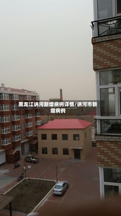 黑龙江讷河新增病例详情/讷河市新增病例-第3张图片