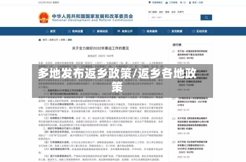 多地发布返乡政策/返乡各地政策