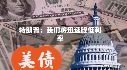 特朗普：我们将迅速降低利率-第2张图片