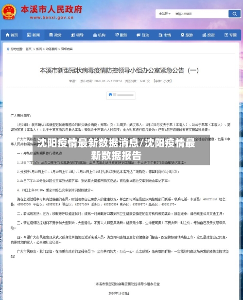 沈阳疫情最新数据消息/沈阳疫情最新数据报告-第3张图片