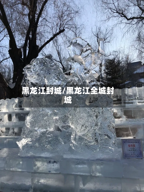 黑龙江封城/黑龙江全城封城-第3张图片