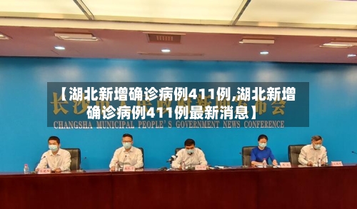 【湖北新增确诊病例411例,湖北新增确诊病例411例最新消息】