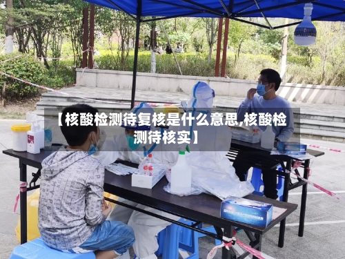 【核酸检测待复核是什么意思,核酸检测待核实】-第2张图片