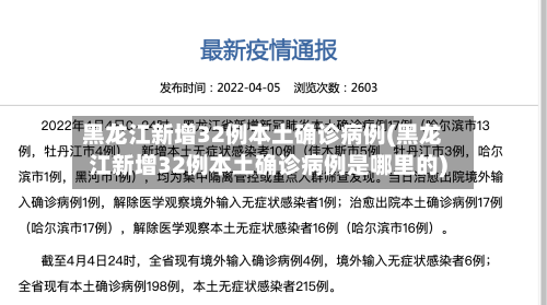 黑龙江新增32例本土确诊病例(黑龙江新增32例本土确诊病例是哪里的)-第3张图片
