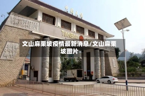 文山麻栗坡疫情最新消息/文山麻栗坡图片
