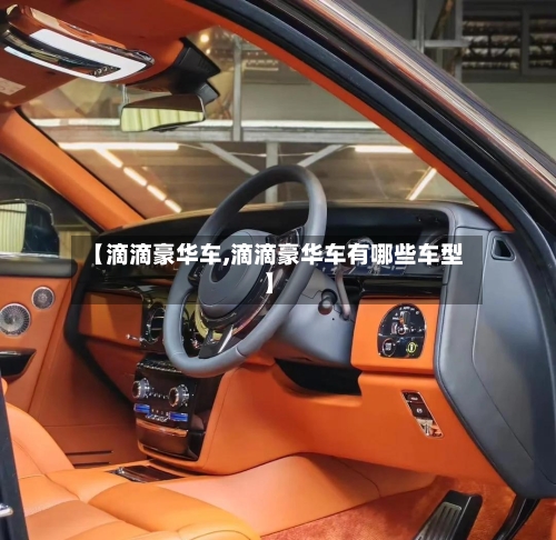 【滴滴豪华车,滴滴豪华车有哪些车型】