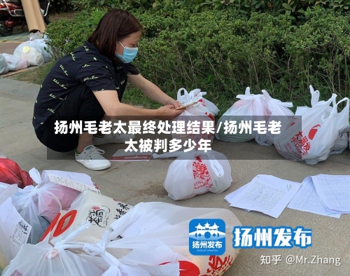 扬州毛老太最终处理结果/扬州毛老太被判多少年-第3张图片