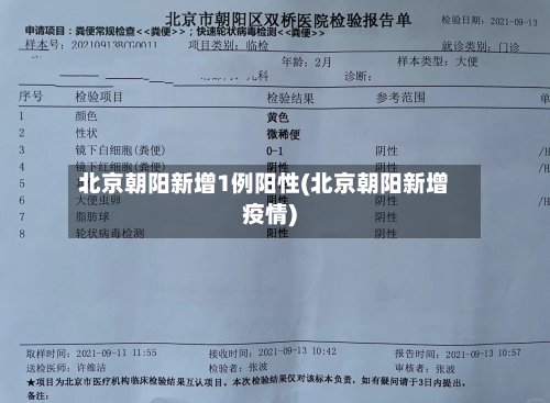 北京朝阳新增1例阳性(北京朝阳新增疫情)-第3张图片