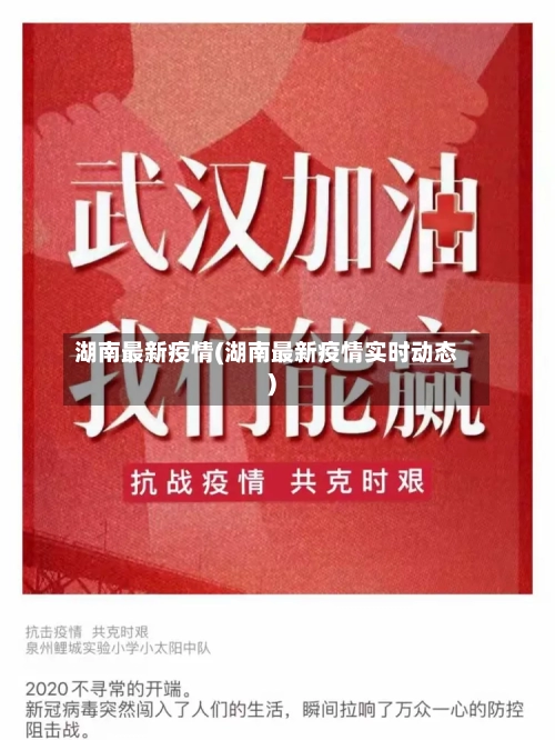 湖南最新疫情(湖南最新疫情实时动态)-第2张图片