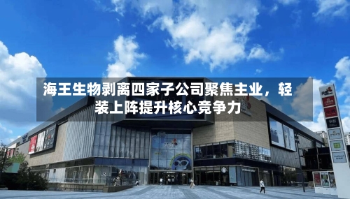 海王生物剥离四家子公司聚焦主业，轻装上阵提升核心竞争力-第2张图片