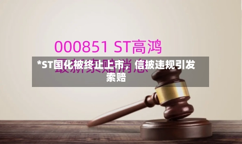 *ST国化被终止上市，信披违规引发索赔-第3张图片